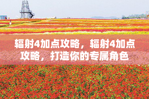 辐射4加点攻略，辐射4加点攻略，打造你的专属角色