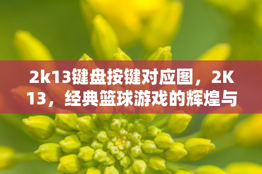2k13键盘按键对应图，2K13，经典篮球游戏的辉煌与遗憾