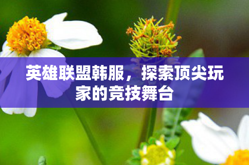 英雄联盟韩服,探索顶尖玩家的竞技舞台 英雄联盟韩服,探索顶尖玩家的竞技舞台