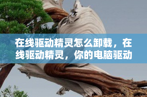 在线驱动精灵怎么卸载，在线驱动精灵，你的电脑驱动管理神器