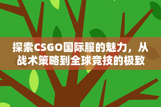 探索CSGO国际服的魅力，从战术策略到全球竞技的极致体验