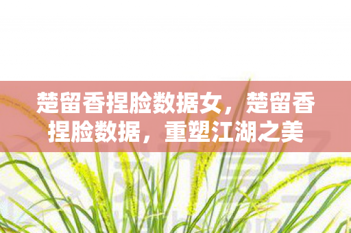 楚留香捏脸数据女，楚留香捏脸数据，重塑江湖之美