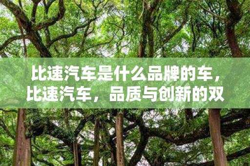 比速汽车是什么品牌的车，比速汽车，品质与创新的双重驱动