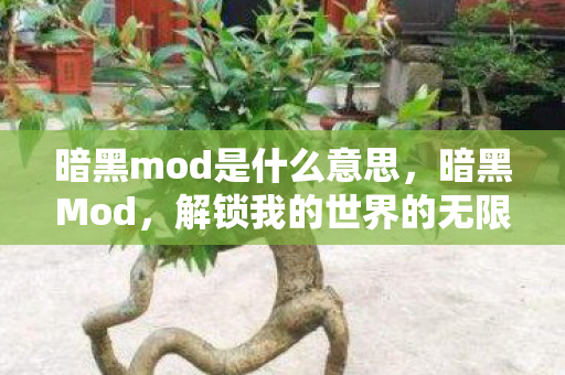 暗黑mod是什么意思，暗黑Mod，解锁我的世界的无限可能