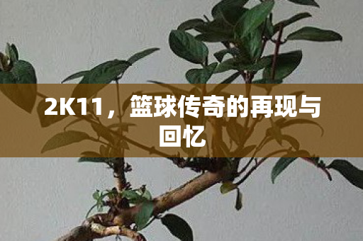 2K11，篮球传奇的再现与回忆