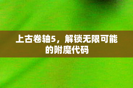 上古卷轴5，解锁无限可能的附魔代码