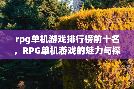 rpg单机游戏排行榜前十名，RPG单机游戏的魅力与探索