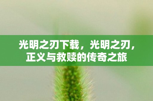 光明之刃下载，光明之刃，正义与救赎的传奇之旅