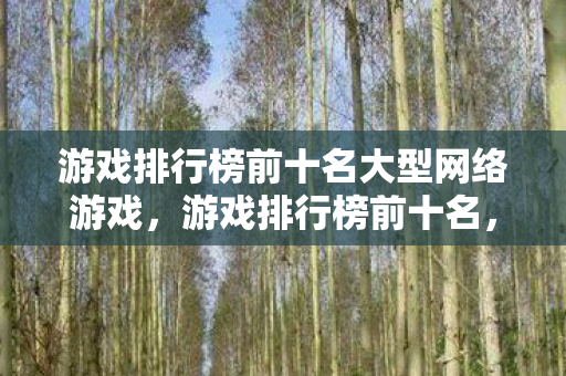 游戏排行榜前十名大型网络游戏，游戏排行榜前十名，探索数字时代的娱乐新境界