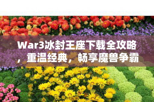War3冰封王座下载全攻略，重温经典，畅享魔兽争霸