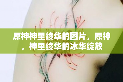 原神神里绫华的图片，原神，神里绫华的冰华绽放