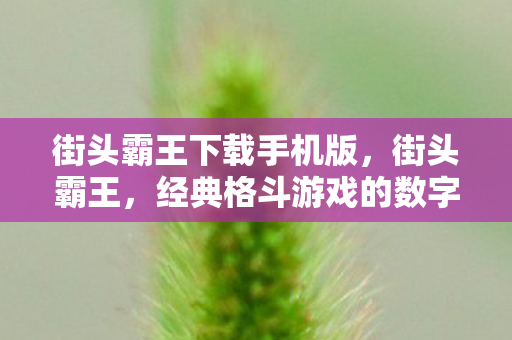街头霸王下载手机版,街头霸王,经典格斗游戏的数字传承 街头霸王下载手机版,街头霸王,经典格斗游戏的数字传承