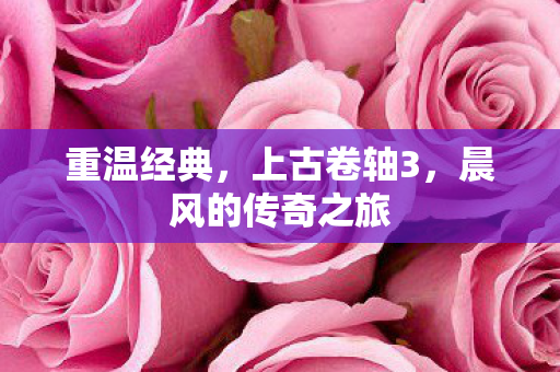 重温经典，上古卷轴3，晨风的传奇之旅