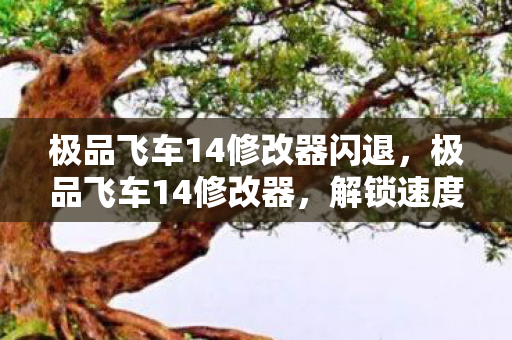 极品飞车14修改器闪退,极品飞车14修改器,解锁速度与激情的无限可能 极品飞车14修改器闪退,极品飞车14修改器,解锁速度与激情的无限可能