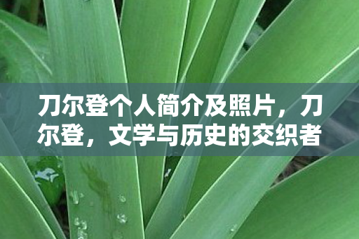 刀尔登个人简介及照片，刀尔登，文学与历史的交织者