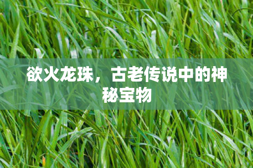 欲火龙珠，古老传说中的神秘宝物