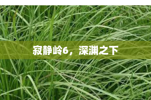 寂静岭6，深渊之下