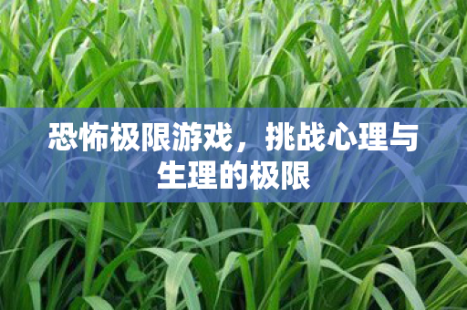 恐怖极限游戏，挑战心理与生理的极限