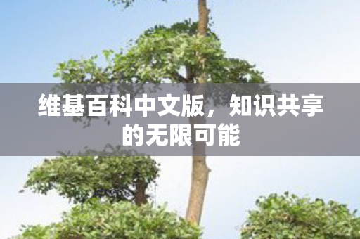 维基百科中文版,知识共享的无限可能 维基百科中文版,知识共享的无限可能