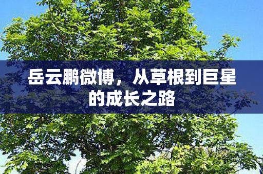 岳云鹏微博，从草根到巨星的成长之路