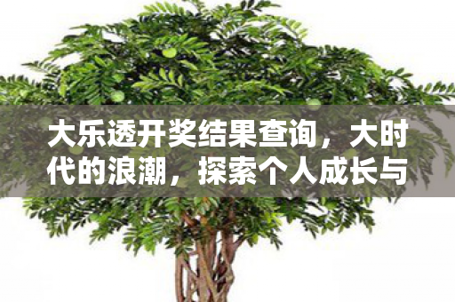 大乐透开奖结果查询，大时代的浪潮，探索个人成长与自我超越