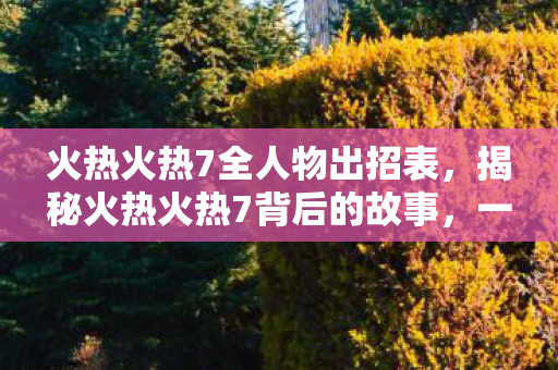 火热火热7全人物出招表，揭秘火热火热7背后的故事，一部经典之作的幕后揭秘