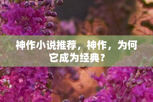 神作小说推荐，神作，为何它成为经典？