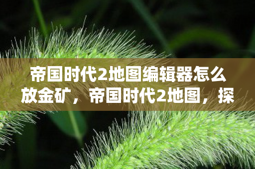 帝国时代2地图编辑器怎么放金矿，帝国时代2地图，探索经典战役的每一个角落