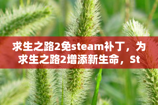 求生之路2免steam补丁,为求生之路2增添新生命,Steam创意工坊的无限可能 求生之路2免steam补丁,为求生之路2增添新生命,Steam创意工坊的无限可能