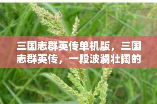 三国志群英传单机版,三国志群英传,一段波澜壮阔的历史传奇 三国志群英传单机版,三国志群英传,一段波澜壮阔的历史传奇