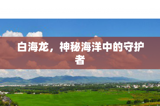 白海龙，神秘海洋中的守护者