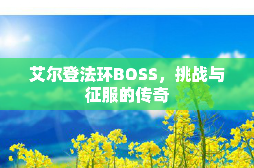 艾尔登法环BOSS，挑战与征服的传奇