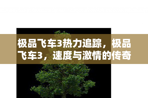 极品飞车3热力追踪，极品飞车3，速度与激情的传奇