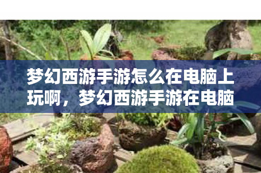 梦幻西游手游怎么在电脑上玩啊,梦幻西游手游在电脑上玩的全面指南 梦幻西游手游怎么在电脑上玩啊,梦幻西游手游在电脑上玩的全面指南