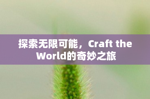 探索无限可能，Craft the World的奇妙之旅