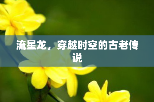 流星龙，穿越时空的古老传说