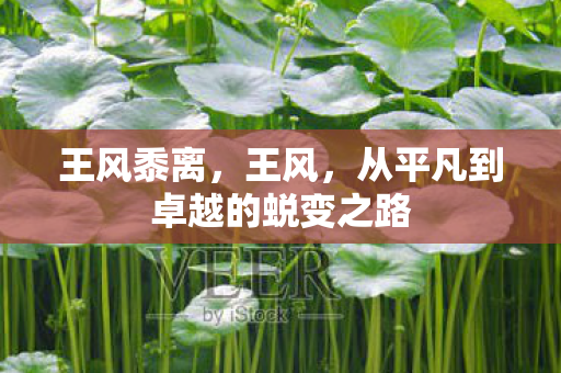 王风黍离，王风，从平凡到卓越的蜕变之路