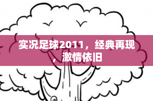 实况足球2011，经典再现，激情依旧