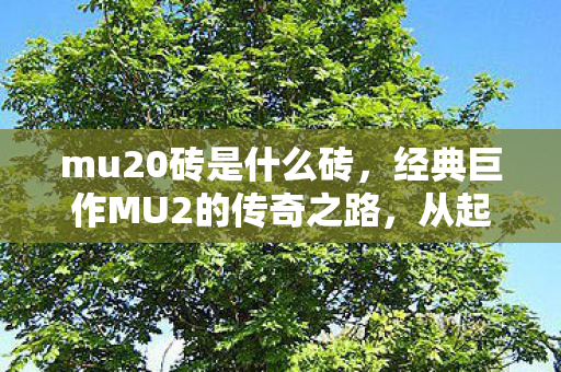 mu20砖是什么砖，经典巨作MU2的传奇之路，从起源到永恒