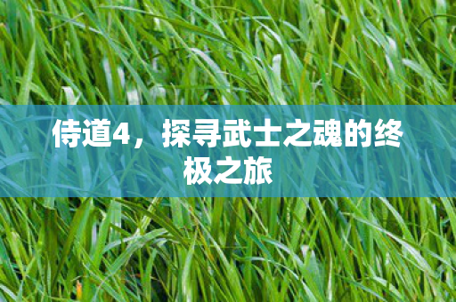 侍道4，探寻武士之魂的终极之旅