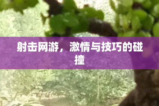 射击网游，激情与技巧的碰撞