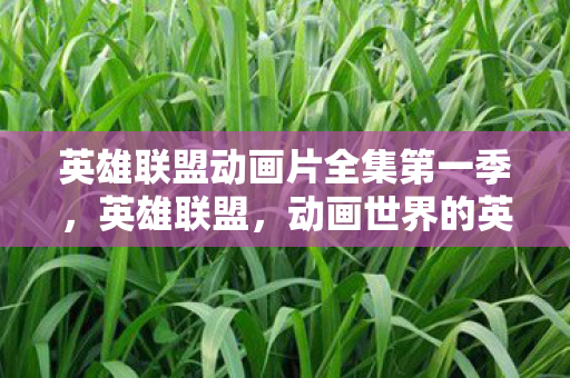 英雄联盟动画片全集第一季，英雄联盟，动画世界的英雄传奇