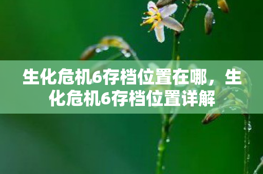 生化危机6存档位置在哪，生化危机6存档位置详解
