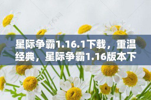 星际争霸1.16.1下载，重温经典，星际争霸1.16版本下载指南