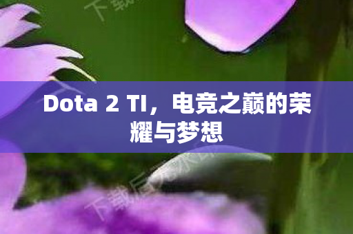 Dota 2 TI，电竞之巅的荣耀与梦想