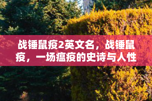 战锤鼠疫2英文名，战锤鼠疫，一场瘟疫的史诗与人性光辉