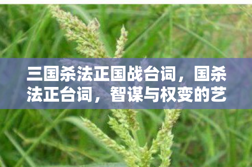 三国杀法正国战台词，国杀法正台词，智谋与权变的艺术