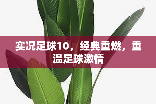 实况足球10，经典重燃，重温足球激情