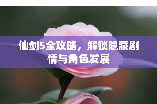 仙剑5全攻略,解锁隐藏剧情与角色发展 仙剑5全攻略,解锁隐藏剧情与角色发展