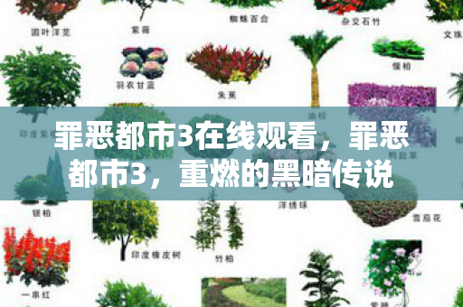 罪恶都市3在线观看，罪恶都市3，重燃的黑暗传说